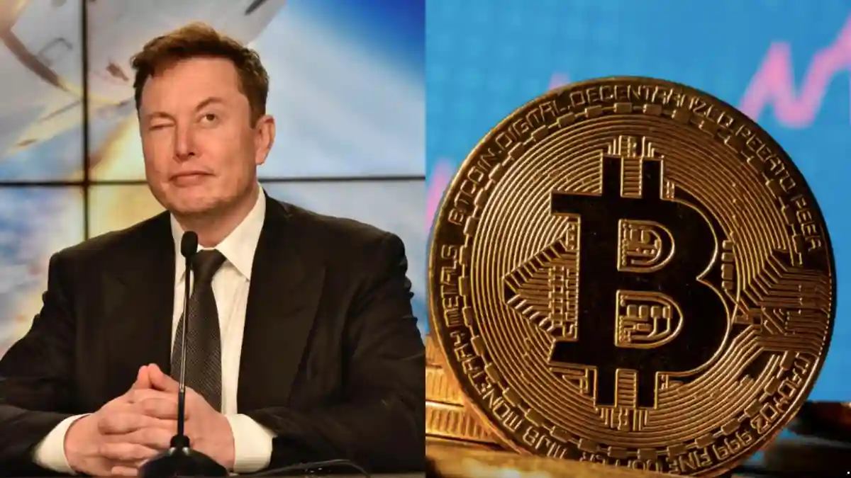 Elon Musk Crypto Coin What You Need to Know